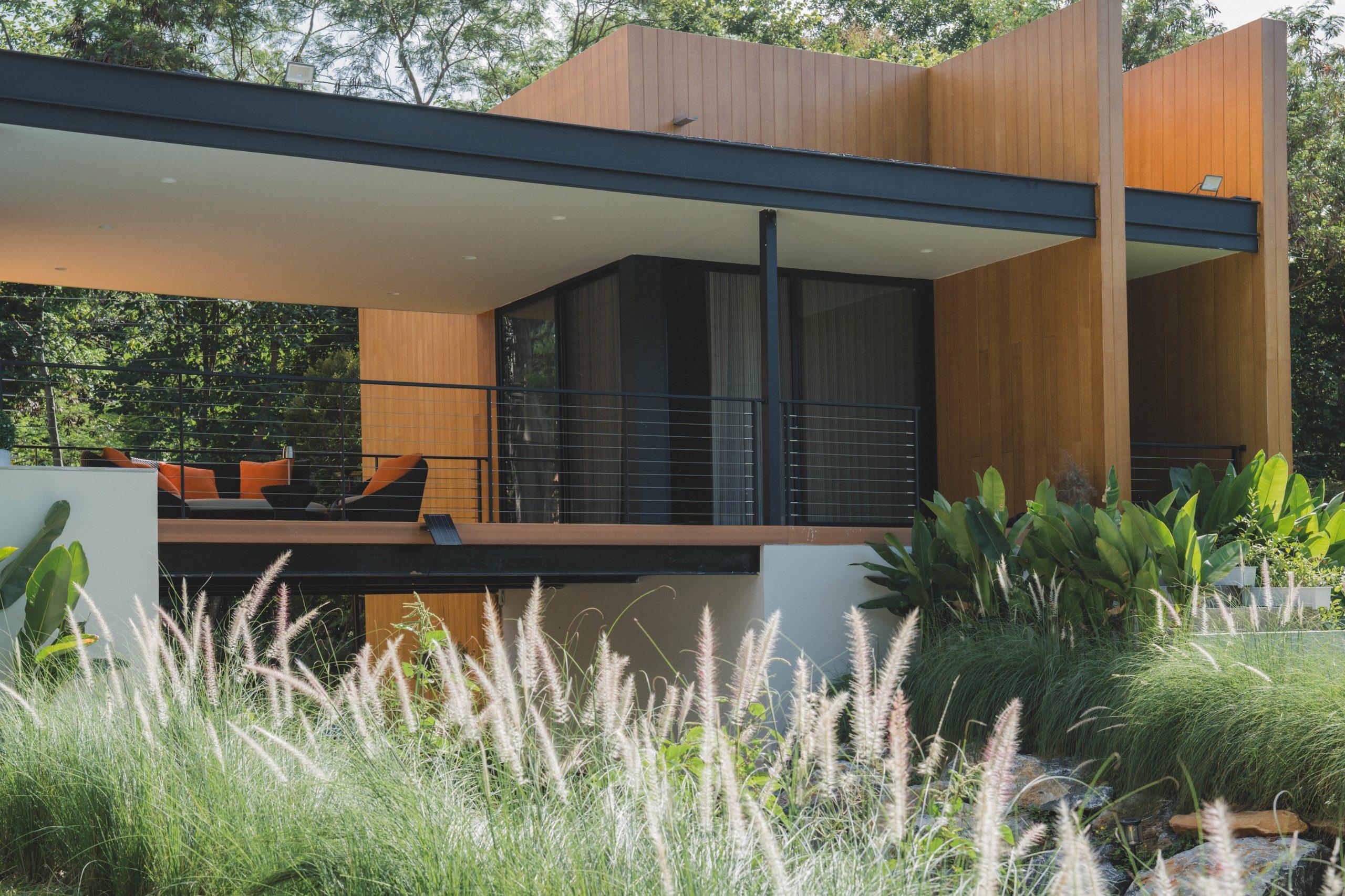 Timber-clad volumes and the covered terrace above flowering grass